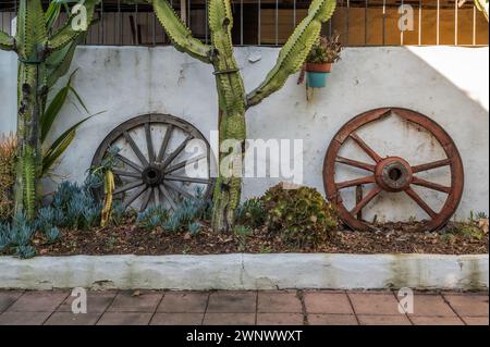 Deux vieilles roues de wagon, appuyées contre un mur blanchi à la chaux, à côté de cactus. Une vieille scène mexicaine Banque D'Images