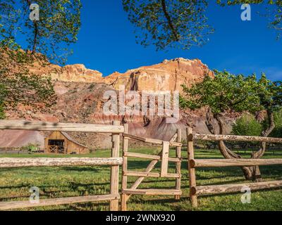 Gifford Barn, parc national de Capitol Reef, Torrey, Utah. Banque D'Images