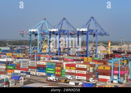 Puerto Quetzal, Guatemala - 19 janvier 2024 : conteneurs d'expédition empilés dans le port de la ville avec des grues à conteneurs en arrière-plan Banque D'Images