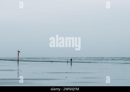 Plage de chiens sur la mer du Nord près de Sankt Peter-Ording en Allemagne Banque D'Images