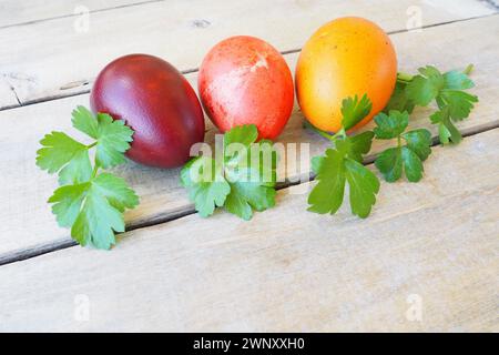 Gros plan d'oeufs colorés de Pâques sur fond en bois. Trois œufs de poule durs avec coquilles rouges, oranges et brunes, teints avec de l'écorce d'oignon. Vert frais Banque D'Images