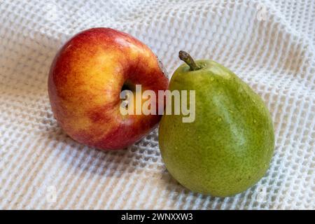 Apple and Pear Still Life, États-Unis, 2024 Banque D'Images