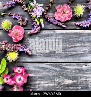 Fleurs dans un demi-cercle sur un fond en bois. Carte postale pour les vacances. Roses, lavande, sauge et châtaignes poilues le long des bords sur des planches sombres Banque D'Images