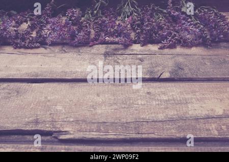 Fleurs de lavande et de sauge sur une table en bois gros plan. Planches horizontales de vieux bois foncé avec des fleurs violettes et bleues et des feuilles autour des bords Banque D'Images