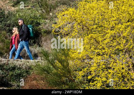 Couple mûr marchant dans la nature printanière Banque D'Images