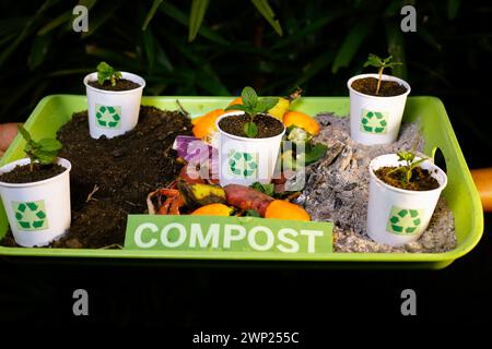 recycler la terre compostée sur les gobelets en papier usagés et les légumes usagés Banque D'Images