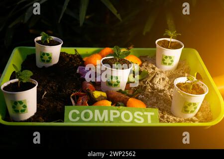 recycler la terre compostée sur les gobelets en papier usagés et les légumes usagés Banque D'Images