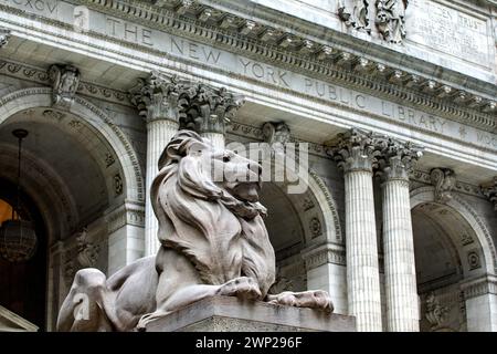 Un lion à l'entrée et gardant la bibliothèque publique de New York est l'un des plus importants dans le monde et avec plus de contenu de l'Amérique et le Banque D'Images