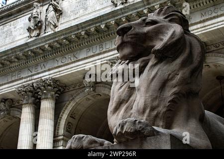 New York, États-Unis ; 4 juin 2023 : forteresse, le lion de marbre gardant la bibliothèque de New York, qui contient un grand nombre de livres et a été le cadre Banque D'Images