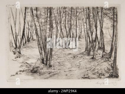 Forest Shore ; Care, Ignacy (1865-1941) ; Before 1914 (1890-00-00-1914-00-00);arbres, forêts, paysages, paysages forestiers, Łopieński, Ignacy (1865-1944), Łopieński, Ignacy (1865-1944)-collection Banque D'Images