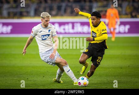 Dortmund Allemagne. 25 février 2024. Anton Stach (1899), Ian Maatsen (BVB) Borussia Dortmund - TSG 1899 Hoffenheim 25.02.2024 Copyright (nur für journa Banque D'Images