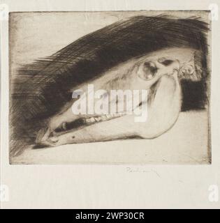 Crâne de Końka ; Pankiewicz, Józef (1866-1940) ; vers 1899 (1899-00-00-1900-00-00) ; Société d'encouragement des Beaux-Arts (Varsovie - 1860-1940) - collection, graphismes polonais, chevaux Banque D'Images