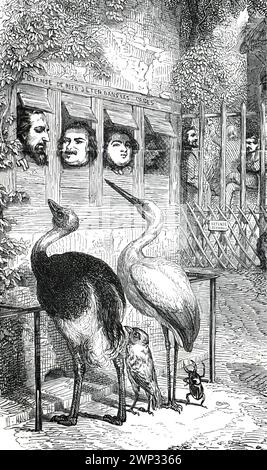 Animaux anthropomorphes humanisés. oiseaux humanisés.oiseaux observant les humains. CRISPR. Animaux cyborg CAS9. animaux humanisés vintage dessinés à la main. Banque D'Images