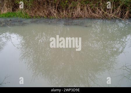 Slough, Berkshrire, Royaume-Uni. 4 mars 2024. Thames Water rejette les eaux usées de ses usines de traitement des eaux usées Slough dans l'eau de Roundmoor Ditch (photo) à Slough, Berkshire, qui se jette dans Roundmoor Ditch à Eton Wick. Cette fois, le rejet, qui a changé la couleur de l'eau en une couleur gris trouble, a eu lieu depuis plus de 51 heures. La puanteur des eaux usées est épouvantable. Ce niveau de pollution risque d'être catastrophique pour l'environnement. Après de nombreux rejets par Thames Water dans le fossé Roundmoor au cours des deux derniers mois, il y a maintenant une croissance de champignons d'égout Banque D'Images