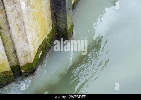 Slough, Berkshrire, Royaume-Uni. 4 mars 2024. Thames Water rejette les eaux usées de ses usines de traitement des eaux usées Slough dans l'eau de Roundmoor Ditch (photo) à Slough, Berkshire, qui se jette dans Roundmoor Ditch à Eton Wick. Cette fois, le rejet, qui a changé la couleur de l'eau en une couleur gris trouble, a eu lieu depuis plus de 51 heures. La puanteur des eaux usées est épouvantable. Ce niveau de pollution risque d'être catastrophique pour l'environnement. Après de nombreux rejets par Thames Water dans le fossé Roundmoor au cours des deux derniers mois, il y a maintenant une croissance de champignons d'égout Banque D'Images