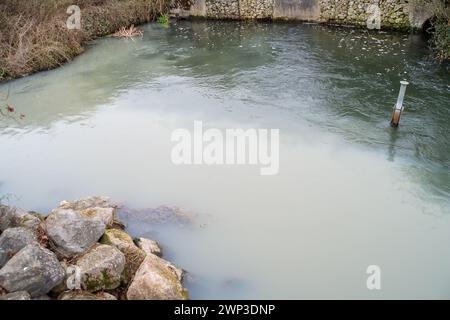 Slough, Berkshrire, Royaume-Uni. 4 mars 2024. Thames Water rejette les eaux usées de ses usines de traitement des eaux usées Slough dans l'eau de Roundmoor Ditch (photo) à Slough, Berkshire, qui se jette dans Roundmoor Ditch à Eton Wick. Cette fois, le rejet, qui a changé la couleur de l'eau en une couleur gris trouble, a eu lieu depuis plus de 51 heures. La puanteur des eaux usées est épouvantable. Ce niveau de pollution risque d'être catastrophique pour l'environnement. Après de nombreux rejets par Thames Water dans le fossé Roundmoor au cours des deux derniers mois, il y a maintenant une croissance de champignons d'égout Banque D'Images