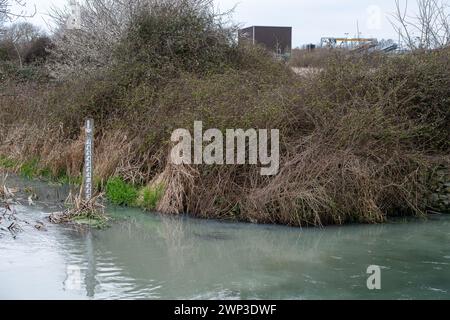 Slough, Berkshrire, Royaume-Uni. 4 mars 2024. Thames Water rejette les eaux usées de ses usines de traitement des eaux usées Slough dans l'eau de Roundmoor Ditch (photo) à Slough, Berkshire, qui se jette dans Roundmoor Ditch à Eton Wick. Cette fois, le rejet, qui a changé la couleur de l'eau en une couleur gris trouble, a eu lieu depuis plus de 51 heures. La puanteur des eaux usées est épouvantable. Ce niveau de pollution risque d'être catastrophique pour l'environnement. Après de nombreux rejets par Thames Water dans le fossé Roundmoor au cours des deux derniers mois, il y a maintenant une croissance de champignons d'égout Banque D'Images