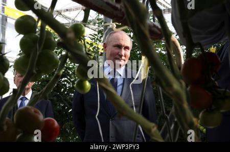 Solnechnodolsk, Russie. 05 mars 2024. Le président russe Vladimir Poutine, à droite, visite les serres robotisées Solnechny Dar pour la culture de tomates, le 5 mars 2024 à Solnechnodolsk, territoire de Stavropol, Russie. Crédit : Mikhail Metzel/Kremlin Pool/Alamy Live News Banque D'Images