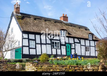 Maison de campagne pittoresque à colombages noir et blanc idyllique dans le village rural du Cheshire Eaton by Tarporley Daffodils Banque D'Images