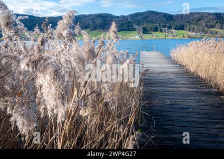 Jetée ou quai à Zell am Moos sur Irrsee, un lac dans le Salzkammergut, Autriche qui est drainé par la Zeller Ache vers le Mondsee Banque D'Images