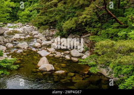 Un ruisseau calme serpente à travers une forêt parsemée de roches avec des eaux réfléchissantes, en Corée du Sud Banque D'Images