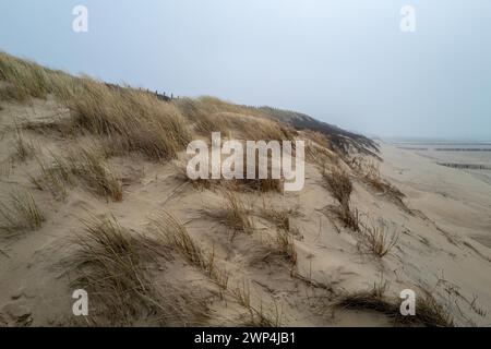 Dunes de sable avec herbe sèche et groynes en bois par la mer sous un ciel nuageux Banque D'Images