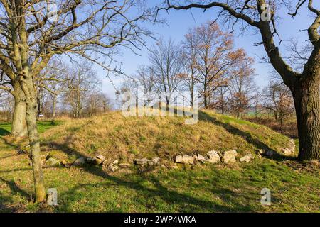 Deux imposants monticules funéraires datant de la fin de l'âge du bronze (environ 120 ans av. J.-C.) forment la pièce maîtresse du parc archéologique de Gaevernitz. Le Banque D'Images