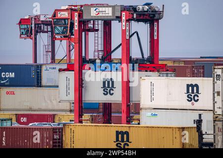 Containerterminal im Seehafen Bremerhaven, Eurogate Container terminal mit fast 50 Containerbrücken, Kränen, auf einer Länge von über 4 KM an der Wesermündung, Portalhubwagen bringen die Container von und zu den Containerschiffen, bzw. Lagern sie zwischen, Bremerhaven, Bremen, Deutschland Container terminal Bremerhaven *** terminal à conteneurs dans le port maritime de Bremerhaven, Eurogate Container terminal avec près de 50 portiques à conteneurs, grues, sur une longueur de plus de 4 KM à l'embouchure de la Weser, les transporteurs à cheval apportent les conteneurs vers et depuis les navires porte-conteneurs, ou les stockent entre, br Banque D'Images