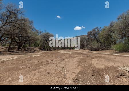 Le lit sec de la rivière Ugab, Damaraland, Namibie Banque D'Images