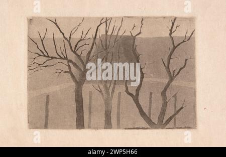 Une estampe intitulée *arbres* de Feliks Stanisław Jasiński (1862–1901), produite vers 1899 et imprimée en 1928, montre des arbres et des paysages, liés à l’Art Nouveau et au modernisme, conservés dans la collection de Léopold Wellisz. Banque D'Images