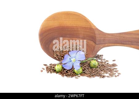 Cuillère en bois remplie de petites graines de lin brunes et une plante de lin bleue fleurissent aux côtés de capsules rondes de fruits de lin isolées sur fond blanc Banque D'Images