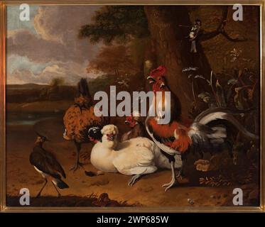 Accueil oiseaux ; Hondecoeter, Melchior d' (1636-1695) ; XVII siècle (1600-00-00-1699-00-00);Coq, poulets, peinture hollandaise, peinture d'animaux, paysages, oiseaux de maison Banque D'Images