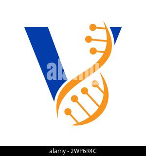 Logo ADN initial sur le modèle vectoriel lettre V pour le symbole Healthcare Illustration de Vecteur