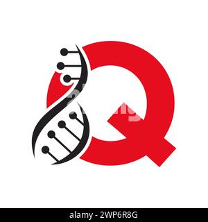 Logo ADN initial sur le modèle vectoriel lettre Q pour le symbole santé Illustration de Vecteur