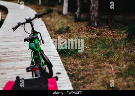 Vélo vert pour faire du vélo sur un chemin en bois dans la forêt d'automne, bois d'automne. Marcher sur le transport écologique avec panier rouge. Style de vie sportif. Banque D'Images