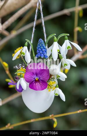 un oeuf décoré de fleur d'alto, de gouttes de neige et de jacinthe de raisin et suspendu dans le jardin Banque D'Images