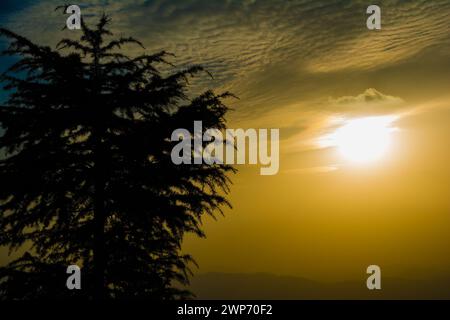 Vue sur le coucher du soleil depuis les montagnes de Lansdowne. Vue sur le coucher de soleil de la montagne à Lansdowne. Incroyable coucher de soleil doré vu à travers la route de la forêt, Lansdowne Uttarakhan Banque D'Images