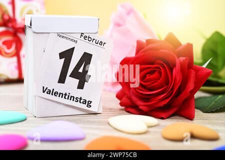 Kalender mit dem Datum 14. Februar, Rote Rose und Geschenk, Symbolfoto Valentinstag Banque D'Images