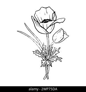 Bouquet de fleurs de tulipes printanières ou de coquelicots anémone Illustration de Vecteur