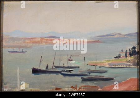 Cette peinture de 1893 de Jan Cie ski montre une vue d'un bateau à l'entrée du Bosphore lors de son voyage à Constantinople, qui fait partie des collections d'art d'État de Varsovie. Banque D'Images