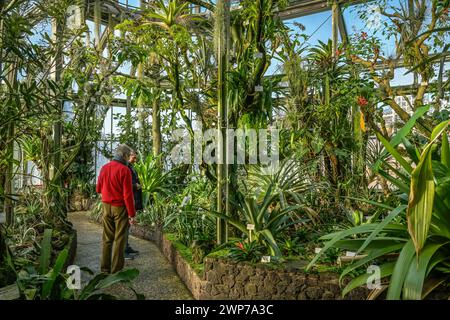 Gewächshaus Bromelienhaus, Botanischer Garten, Lichterfelde, Steglitz-Zehlendorf, Berlin, Deutschland Banque D'Images