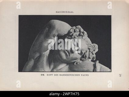 Adolf Furtwängler : Glyptothek 1907 / Illustrierter Katalog der Glyptothek König Ludwig's I. zu München / Kastner & Callwey, 1907 / catalogue illustré de la Glyptothèque du roi Louis Ier à Munich à 1907 / Bacchus-Saal - Bacchus Hall / Kopf des Barberinischen faunes - tête du faun Barberini - Fauno Barberini ou satyr ivre ( satyr grec ) Banque D'Images