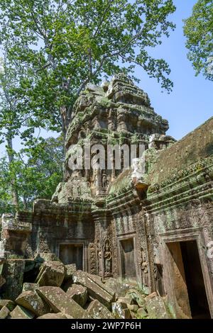 Détails sculptés du temple Ta Prohm à Angkor Wat, Siem Reap, Cambodge Banque D'Images