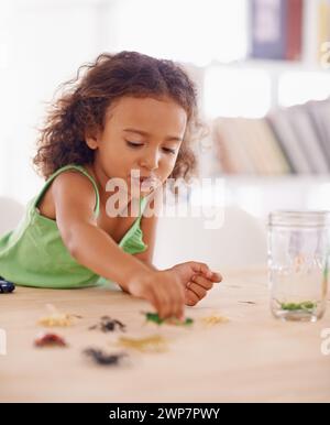 Fille, développement de l'enfant et insecte jouet pour la science dans le salon de la maison pour l'éducation ou la croissance. Étude, éducation et biologie avec un jeune enfant jouant Banque D'Images