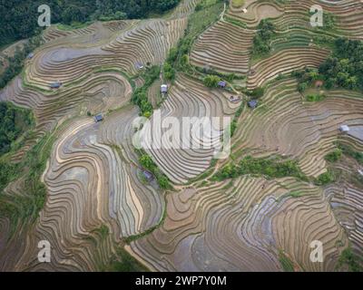 Perspective aérienne des rizières en terrasses de Mu Cang Chai au Vietnam Banque D'Images