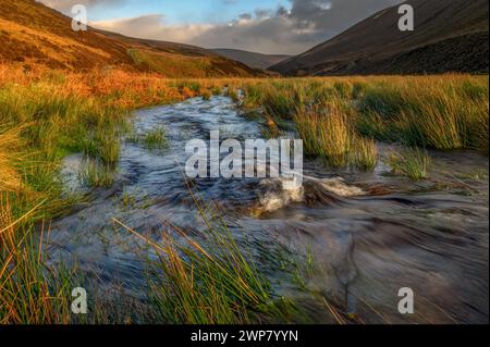 Le Lanngden Beck dans Flood, Forêt de Bowland, Lancashire. Banque D'Images