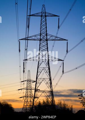 J'ai toujours été fasciné par nos pylônes du Royaume-Uni - ce que l'on appelle dans une grande partie du monde des tours de transmission. En marchant sur le paysage, ils ha Banque D'Images