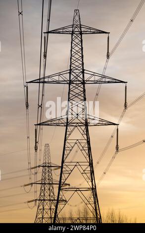 J'ai toujours été fasciné par nos pylônes du Royaume-Uni - ce que l'on appelle dans une grande partie du monde des tours de transmission. En marchant sur le paysage, ils ha Banque D'Images