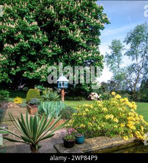 Joli jardin domestique paysager avec châtaignier en fleur, pelouses, lits surélevés et mangeoire ornée d'oiseaux, May, Leicestershire, Angleterre, Royaume-Uni Banque D'Images