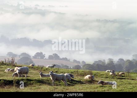 08/09/12 la vue depuis les Weaver Hills, près d'Ellastone, dit être le point le plus au sud des Pennines, regardant vers le sud au-dessus du Staffordshire comme th Banque D'Images